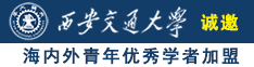 狠狠地插入嫩穴视频诚邀海内外青年优秀学者加盟西安交通大学