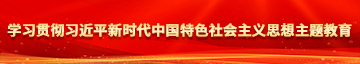 操死你个小骚逼视频学习贯彻习近平新时代中国特色社会主义思想主题教育